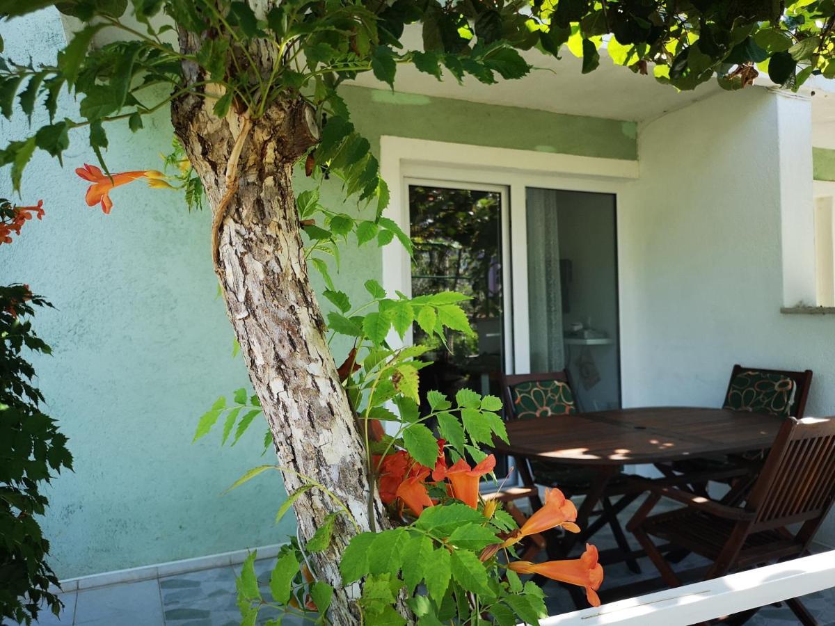 Chillout Apartments With Pool Patricia Fažana Екстериор снимка